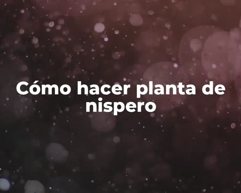 Cómo hacer planta de nispero