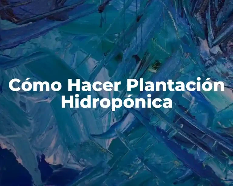 Cómo Hacer Plantación Hidropónica