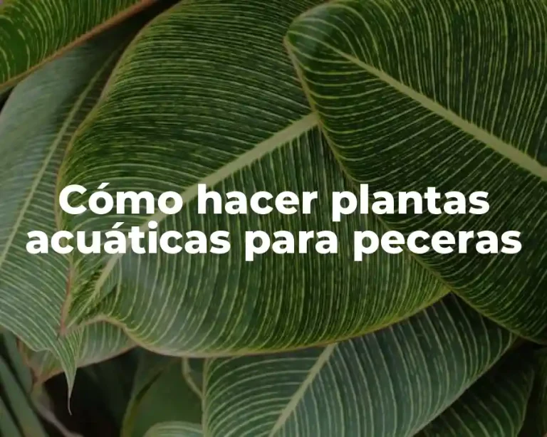Cómo hacer plantas acuáticas para peceras