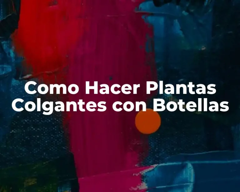 Como Hacer Plantas Colgantes con Botellas