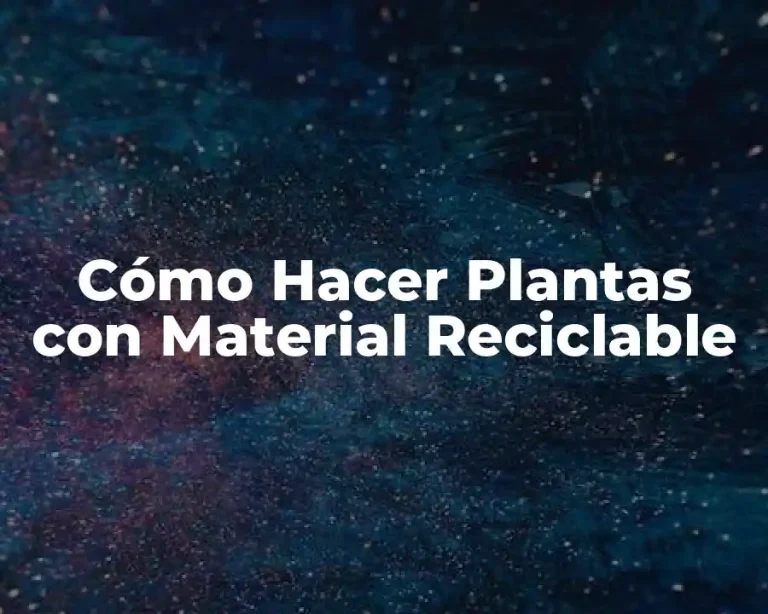 Cómo Hacer Plantas con Material Reciclable