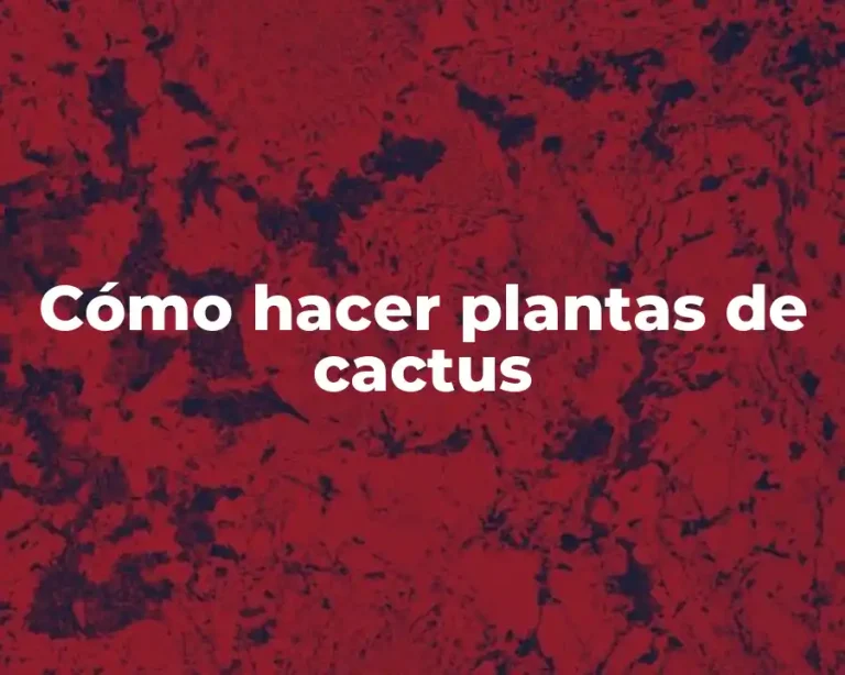 Cómo hacer plantas de cactus