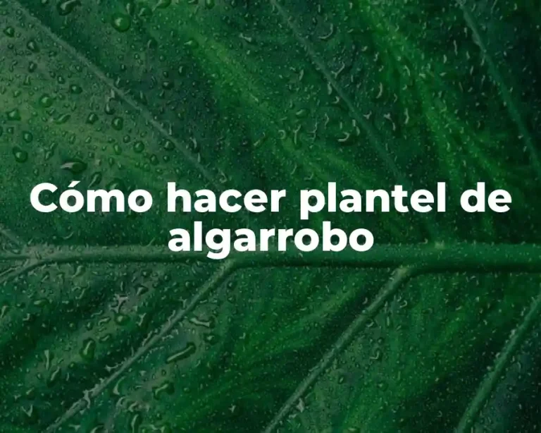 Cómo hacer plantel de algarrobo