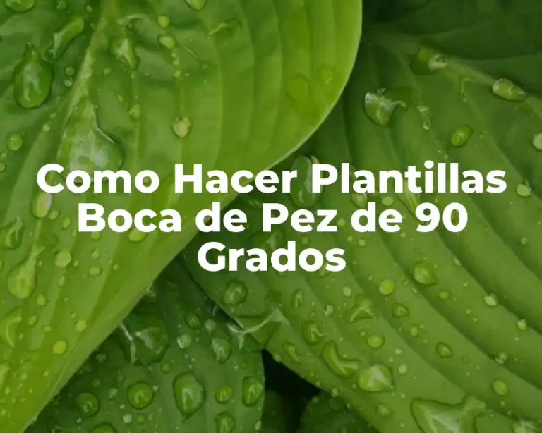 Como Hacer Plantillas Boca de Pez de 90 Grados