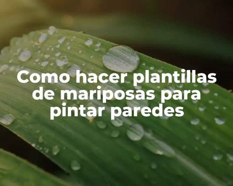 Como hacer plantillas de mariposas para pintar paredes