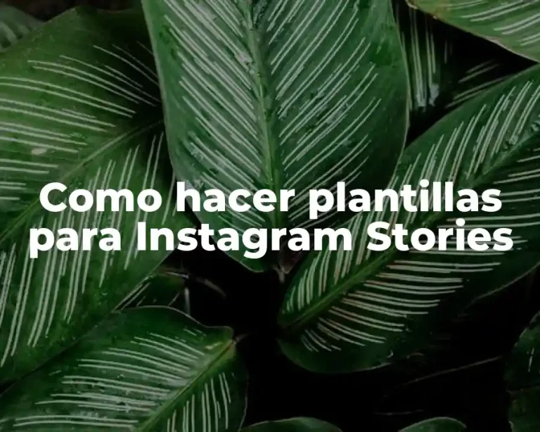 Como hacer plantillas para Instagram Stories