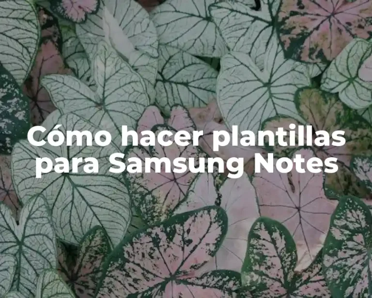Cómo hacer plantillas para Samsung Notes