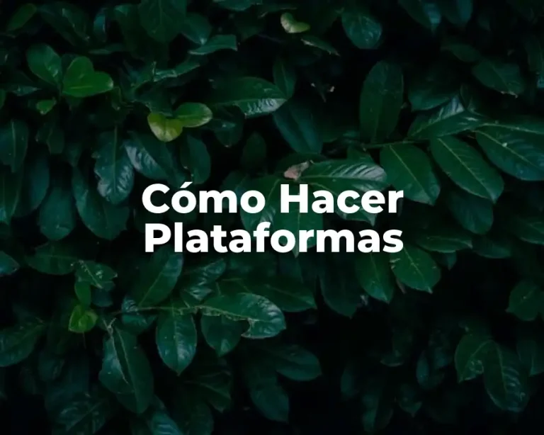 Cómo Hacer Plataformas
