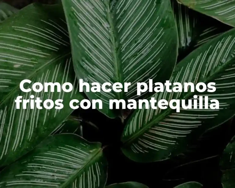 Como hacer platanos fritos con mantequilla