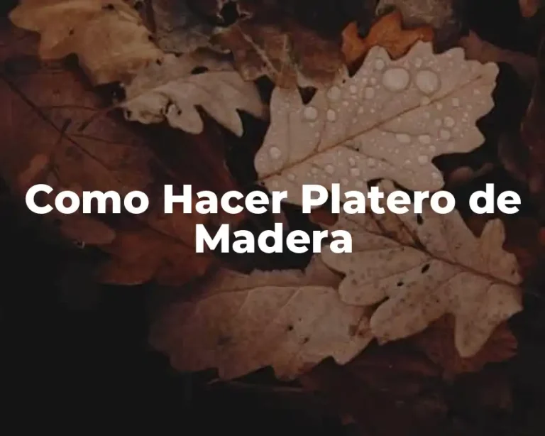 Como Hacer Platero de Madera
