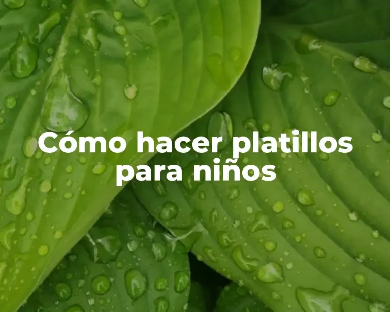 Cómo hacer platillos para niños