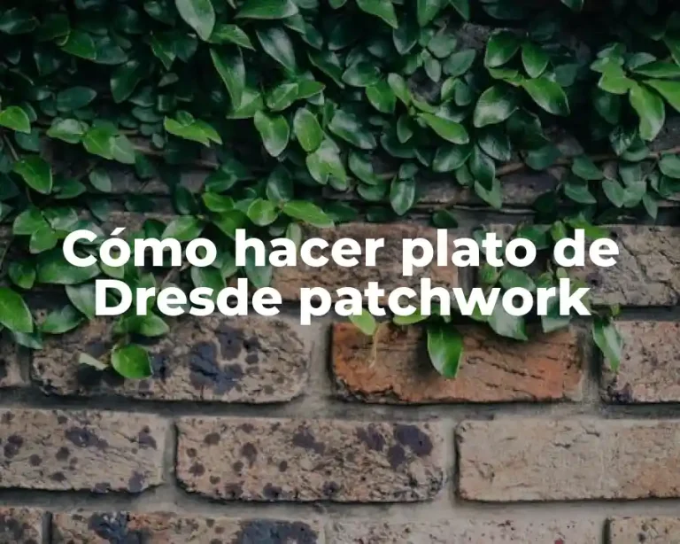 Cómo hacer plato de Dresde patchwork
