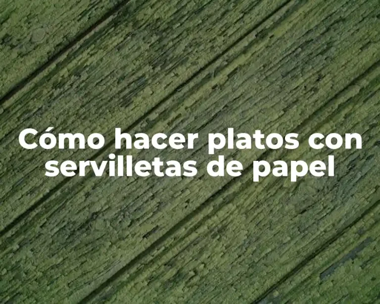Cómo hacer platos con servilletas de papel