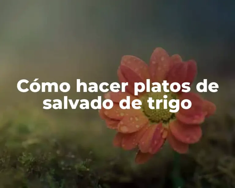 Cómo hacer platos de salvado de trigo