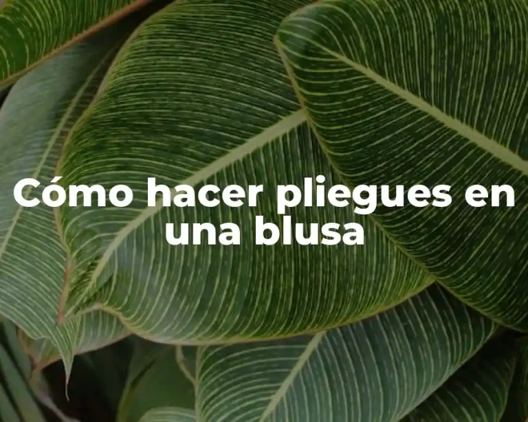 Cómo hacer pliegues en una blusa