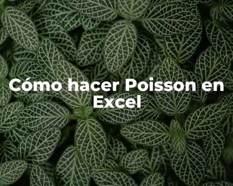Cómo hacer Poisson en Excel