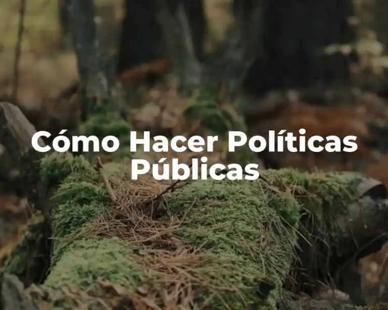 Cómo Hacer Políticas Públicas