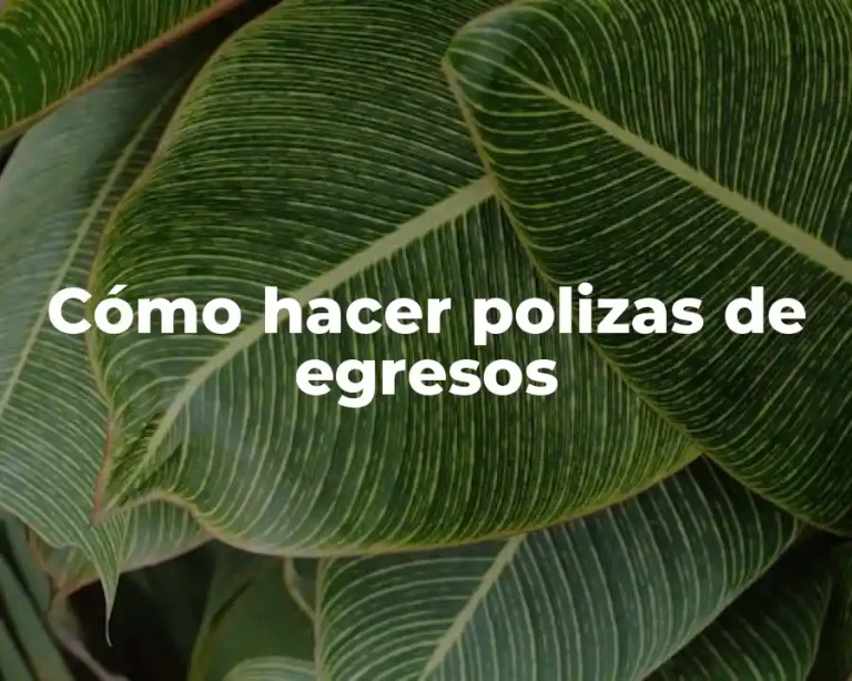 Cómo hacer polizas de egresos