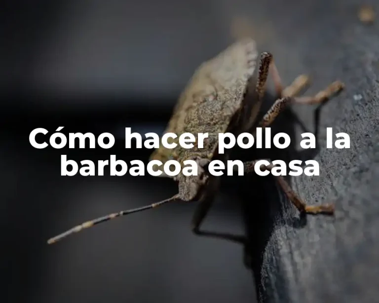 Cómo hacer pollo a la barbacoa en casa