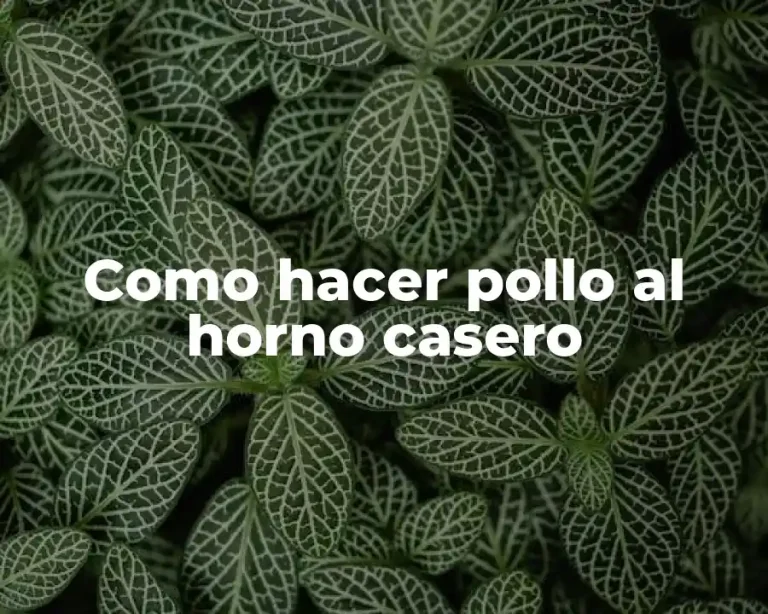 Como hacer pollo al horno casero