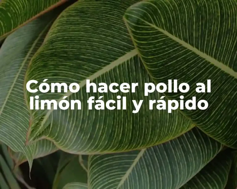 Cómo hacer pollo al limón fácil y rápido