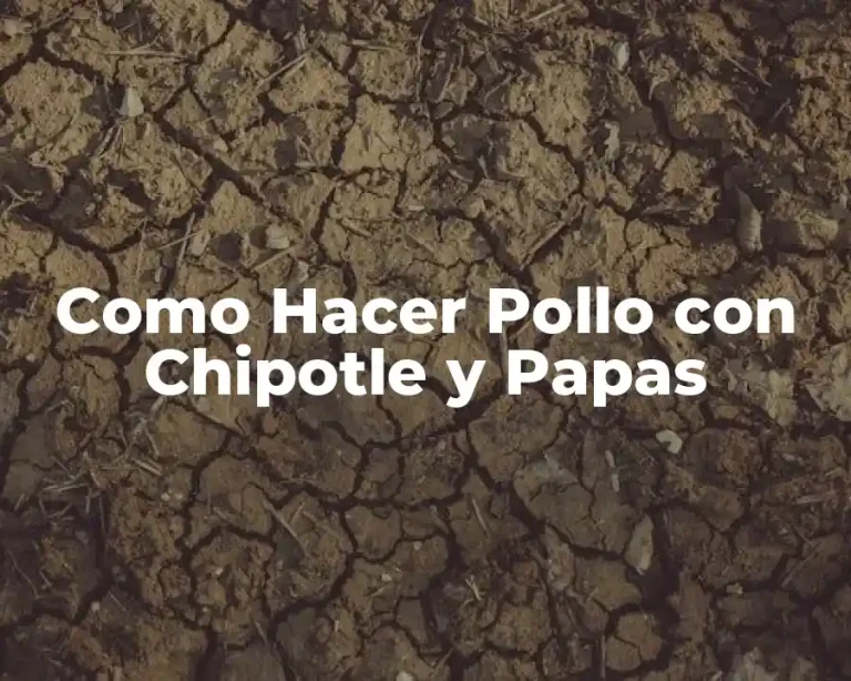 Como Hacer Pollo con Chipotle y Papas
