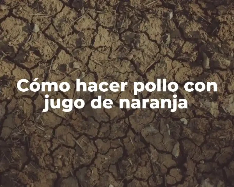 Cómo hacer pollo con jugo de naranja