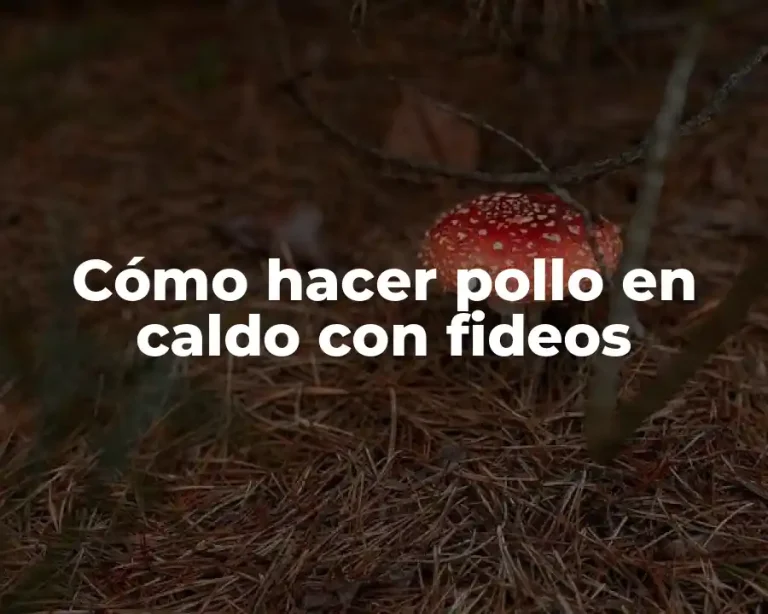Cómo hacer pollo en caldo con fideos