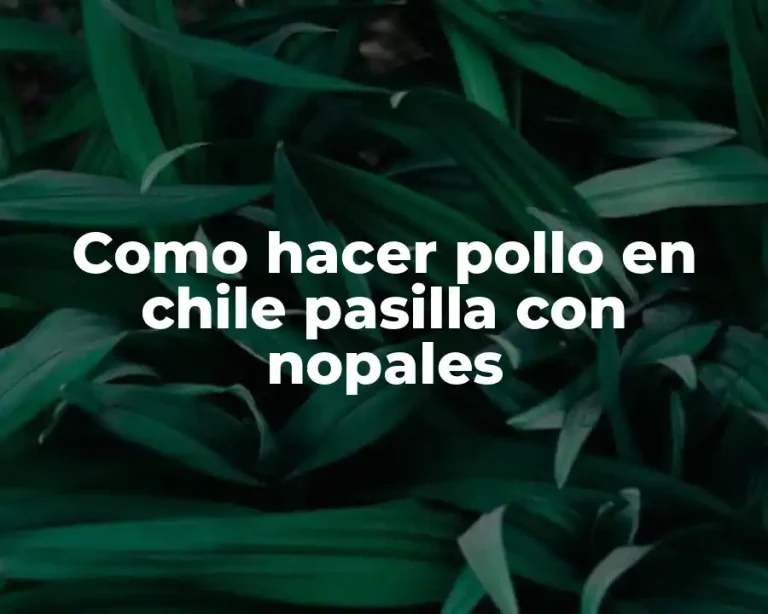 Como hacer pollo en chile pasilla con nopales