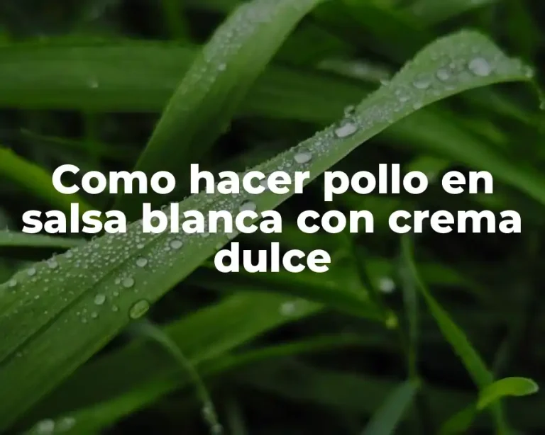 Como hacer pollo en salsa blanca con crema dulce