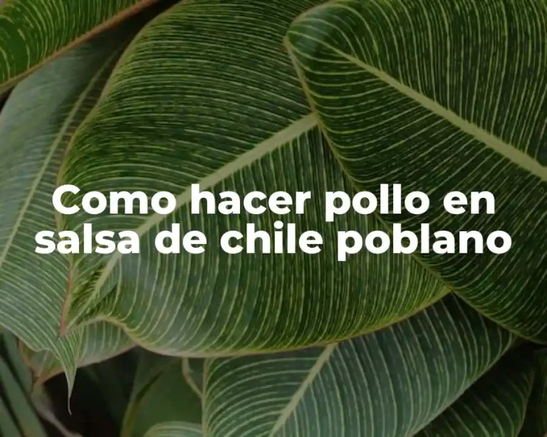 Como hacer pollo en salsa de chile poblano