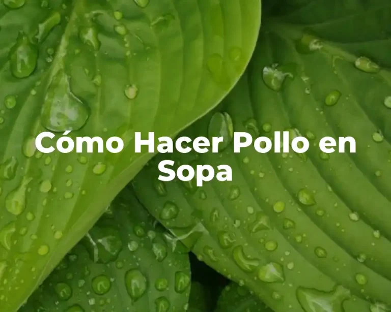 Cómo Hacer Pollo en Sopa