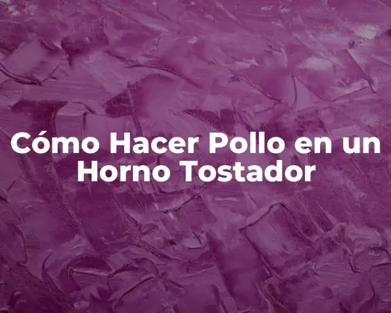 Cómo Hacer Pollo en un Horno Tostador