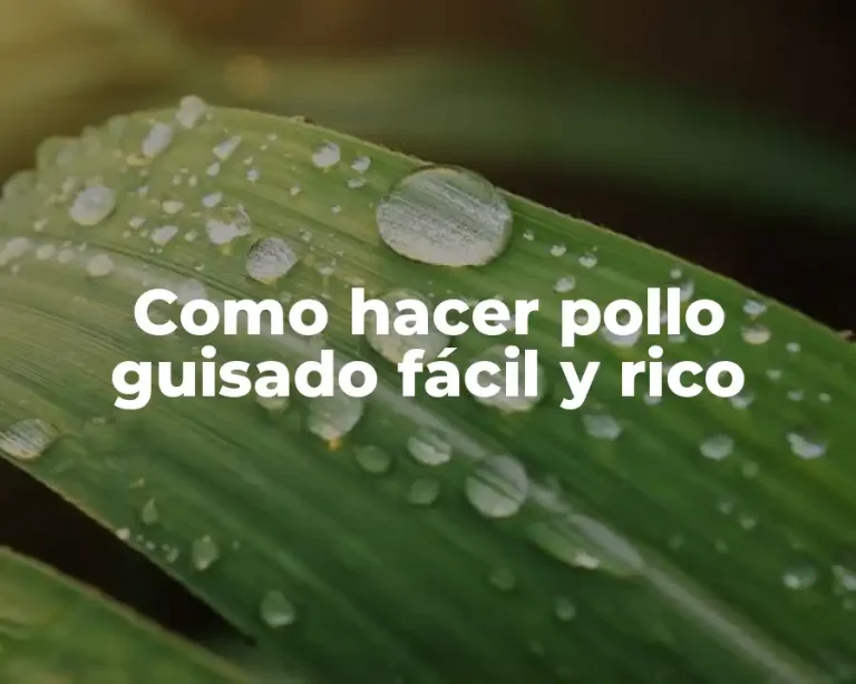 Como hacer pollo guisado fácil y rico