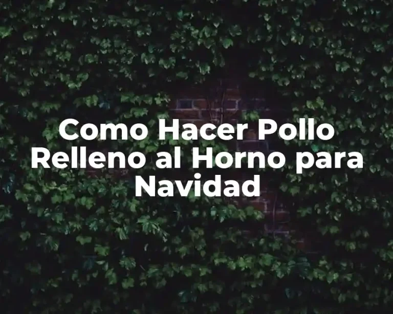 Como Hacer Pollo Relleno al Horno para Navidad