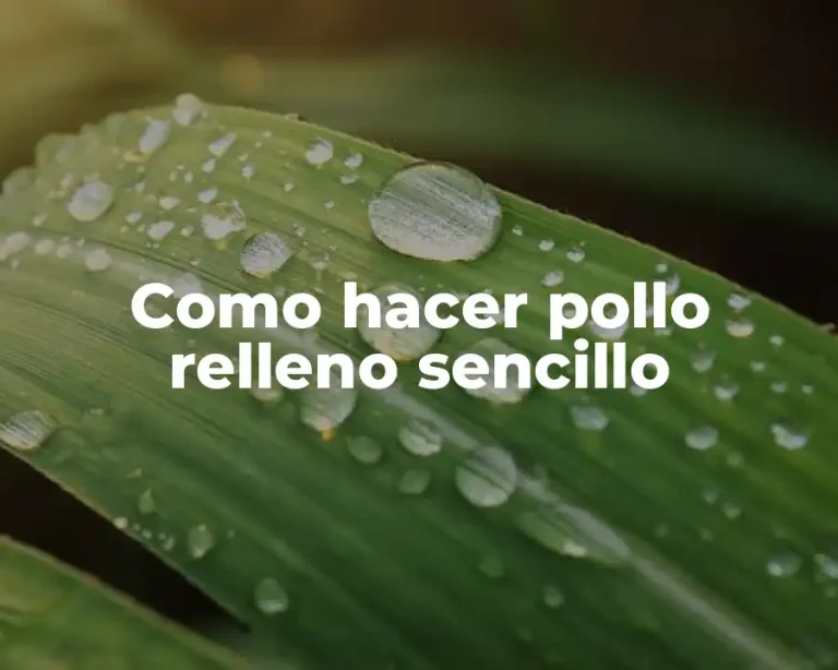 Como hacer pollo relleno sencillo