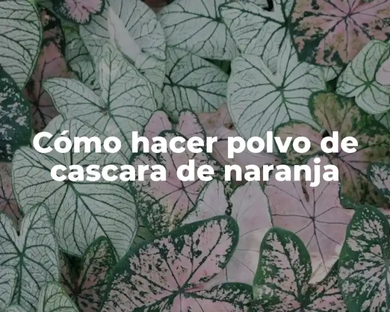 Cómo hacer polvo de cascara de naranja