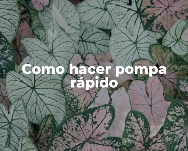 Como hacer pompa rápido
