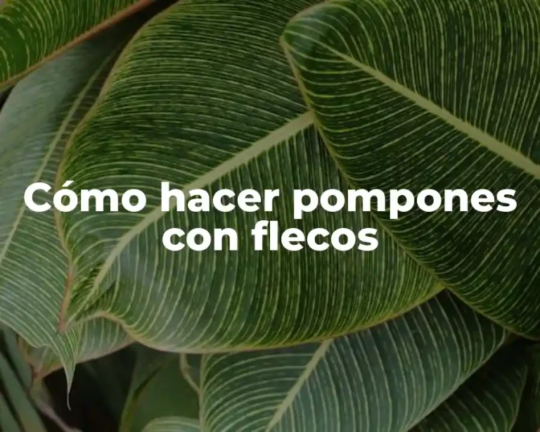 Cómo hacer pompones con flecos
