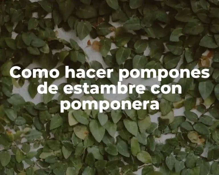 Como hacer pompones de estambre con pomponera