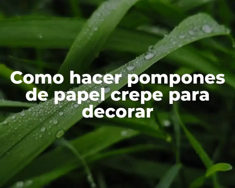 Como hacer pompones de papel crepe para decorar