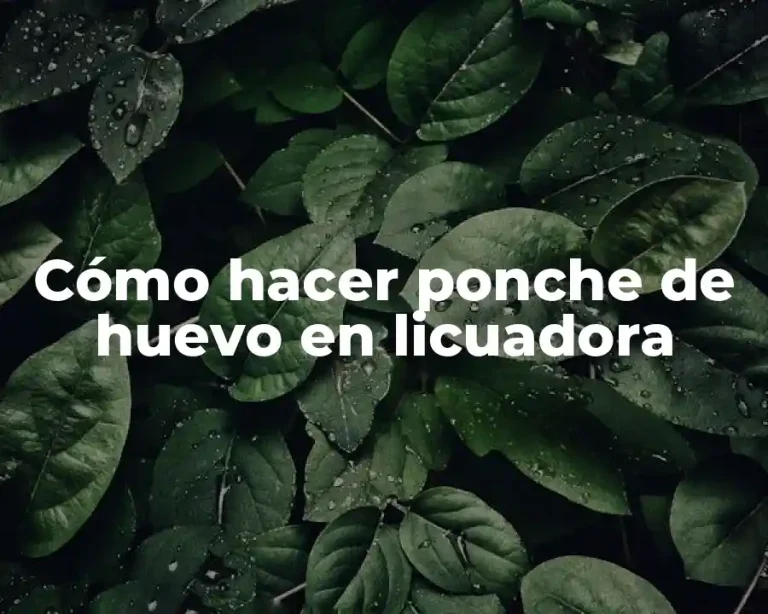 Cómo hacer ponche de huevo en licuadora