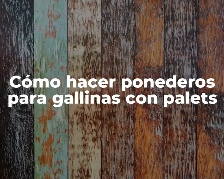 Cómo hacer ponederos para gallinas con palets