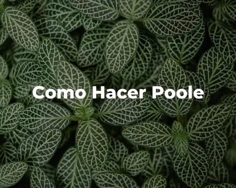 Como Hacer Poole
