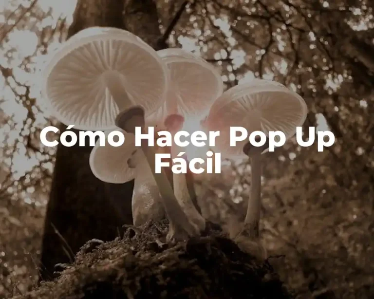 Cómo Hacer Pop Up Fácil