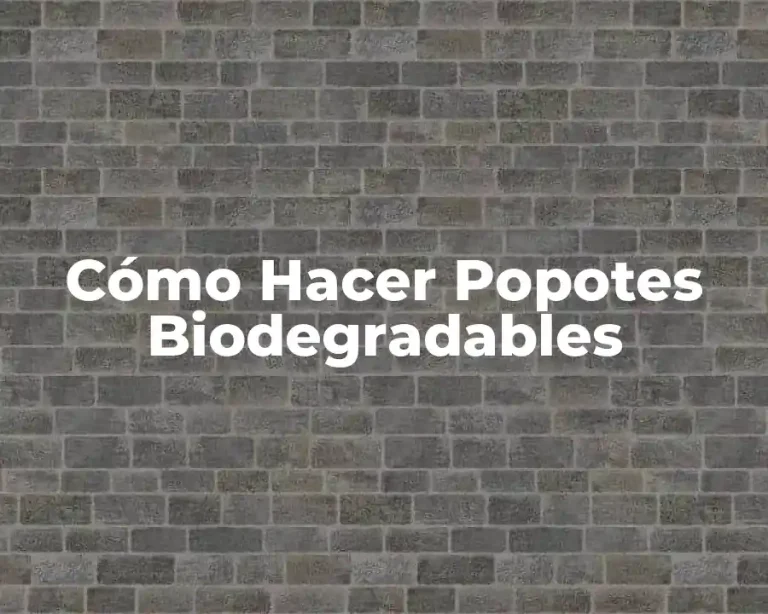 Cómo Hacer Popotes Biodegradables