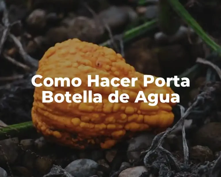 Como Hacer Porta Botella de Agua