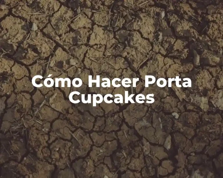 Cómo Hacer Porta Cupcakes