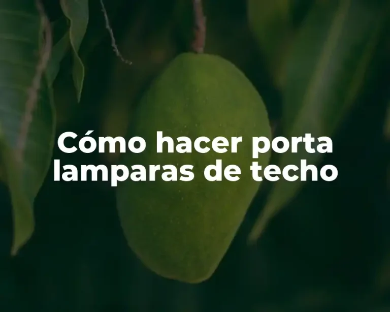 Cómo hacer porta lamparas de techo