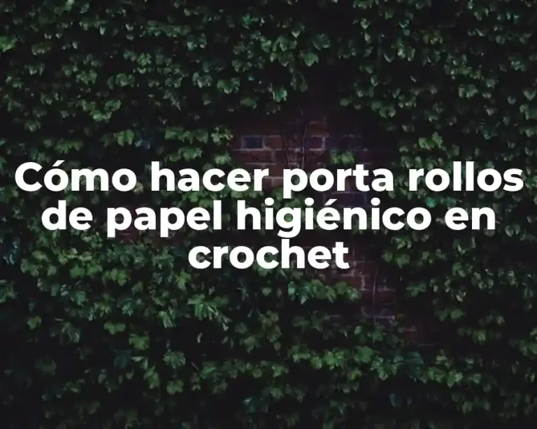 Cómo hacer porta rollos de papel higiénico en crochet